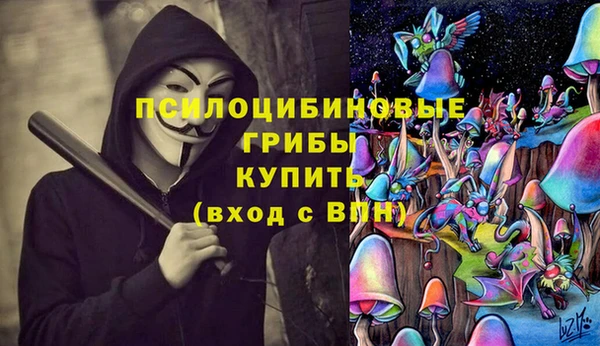 первитин Богданович